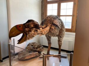 Besuch im Jura-Museum;