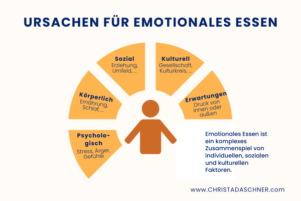 Ursachen für emotionales Essen von Christa Daschner, Speichen eines Rades mit den Ursachen körperlich, psychologisch, sozial, kulturell und Erwartungen