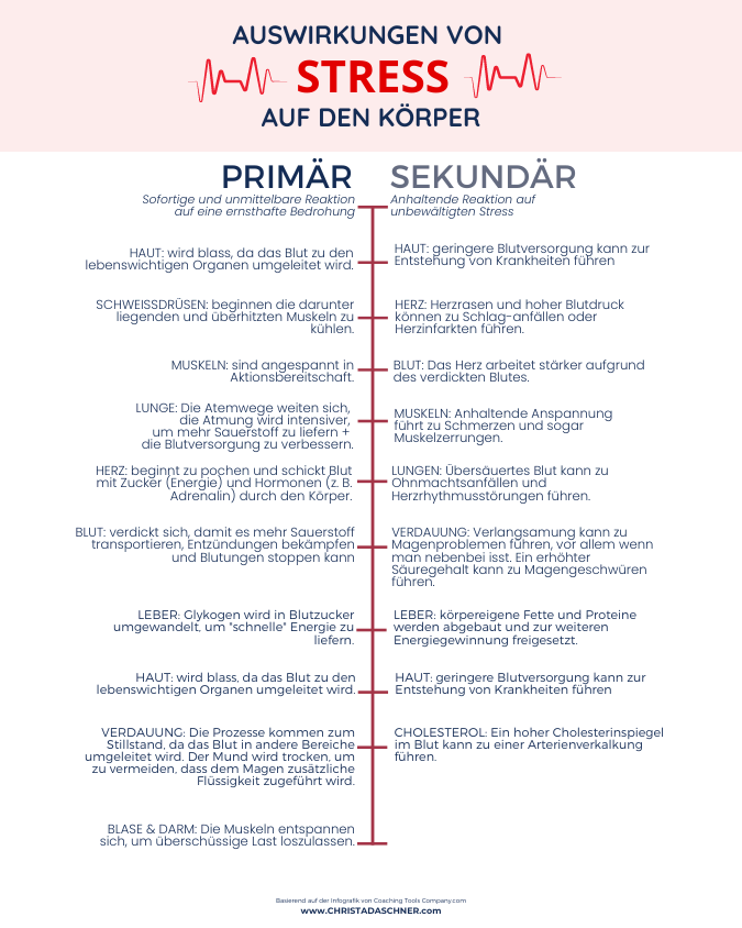 christadaschner-auswirkungen von stress auf den körper, primär und sekundär als grafik