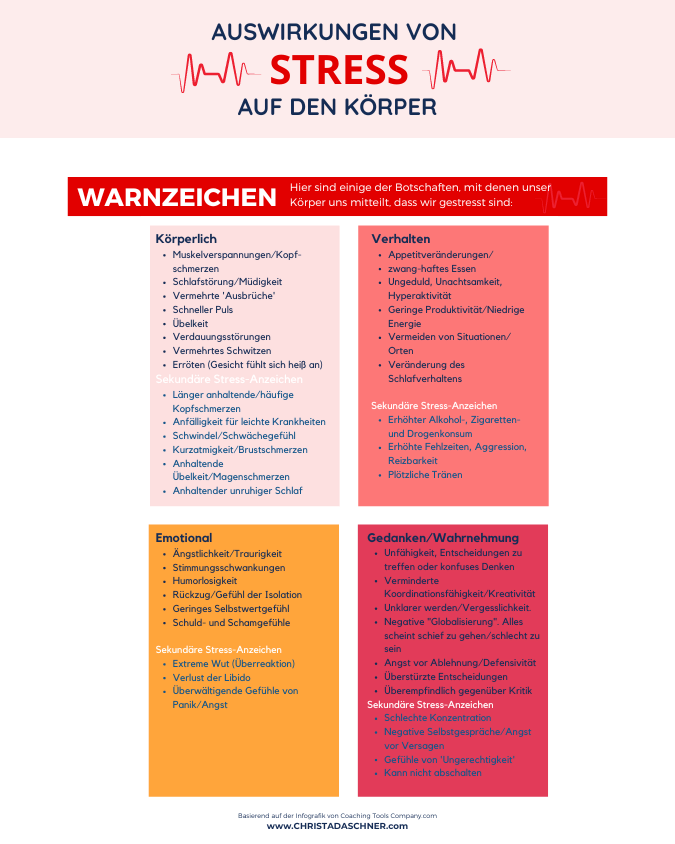 Christa Daschner - Warnzeichen der Auswirkungen von Stress auf den Körper