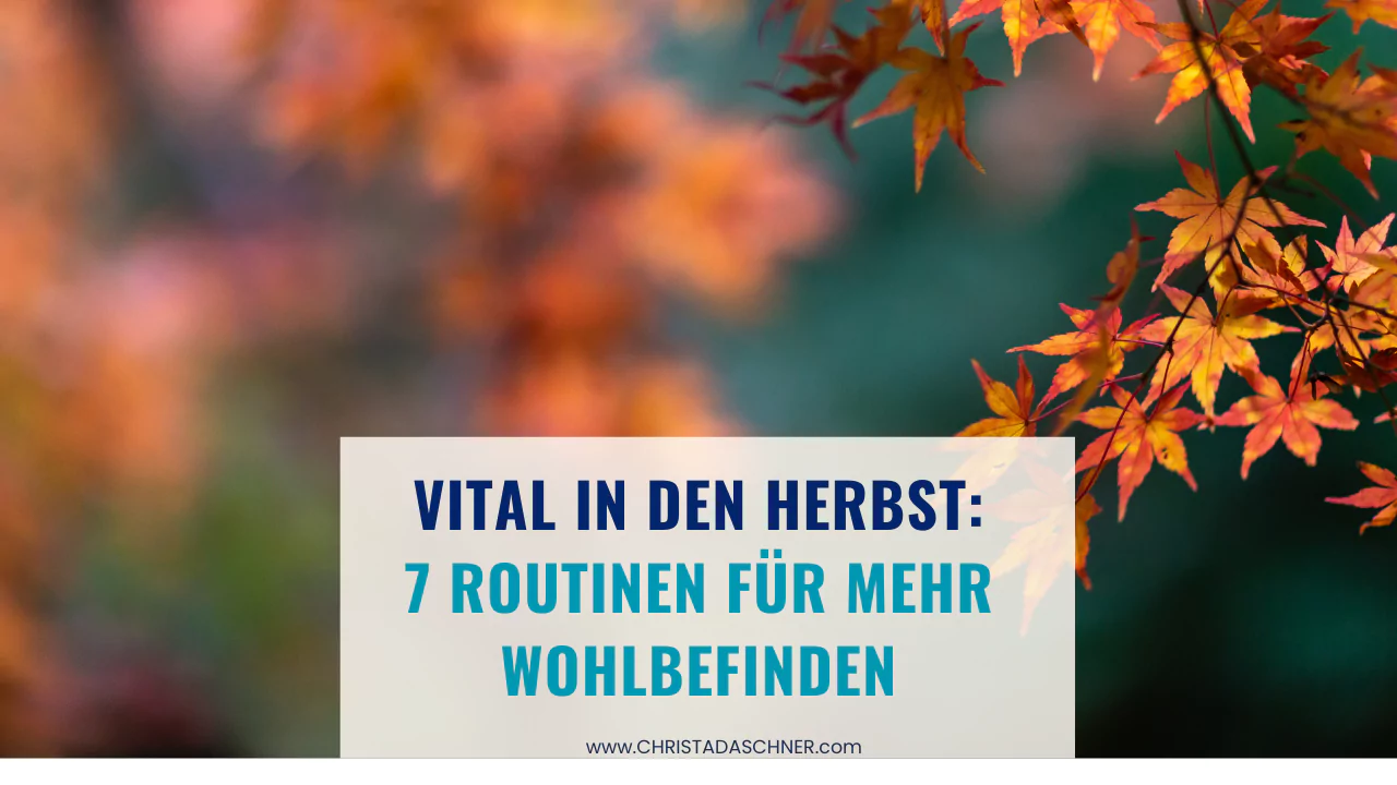 sonniger herbstwald mit dem Titel - vital in den herbst - 7 routinen für mehr wohlbefinden