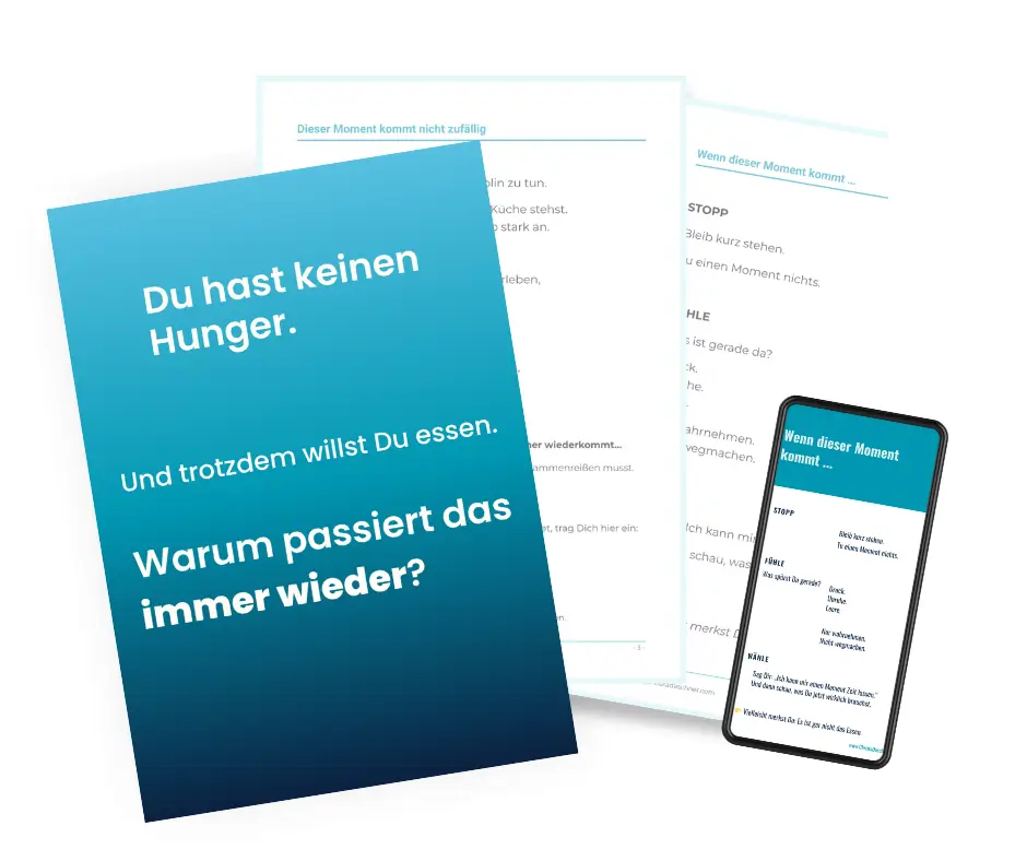 Darstellung des Minitools für den Heißhunger-Moment