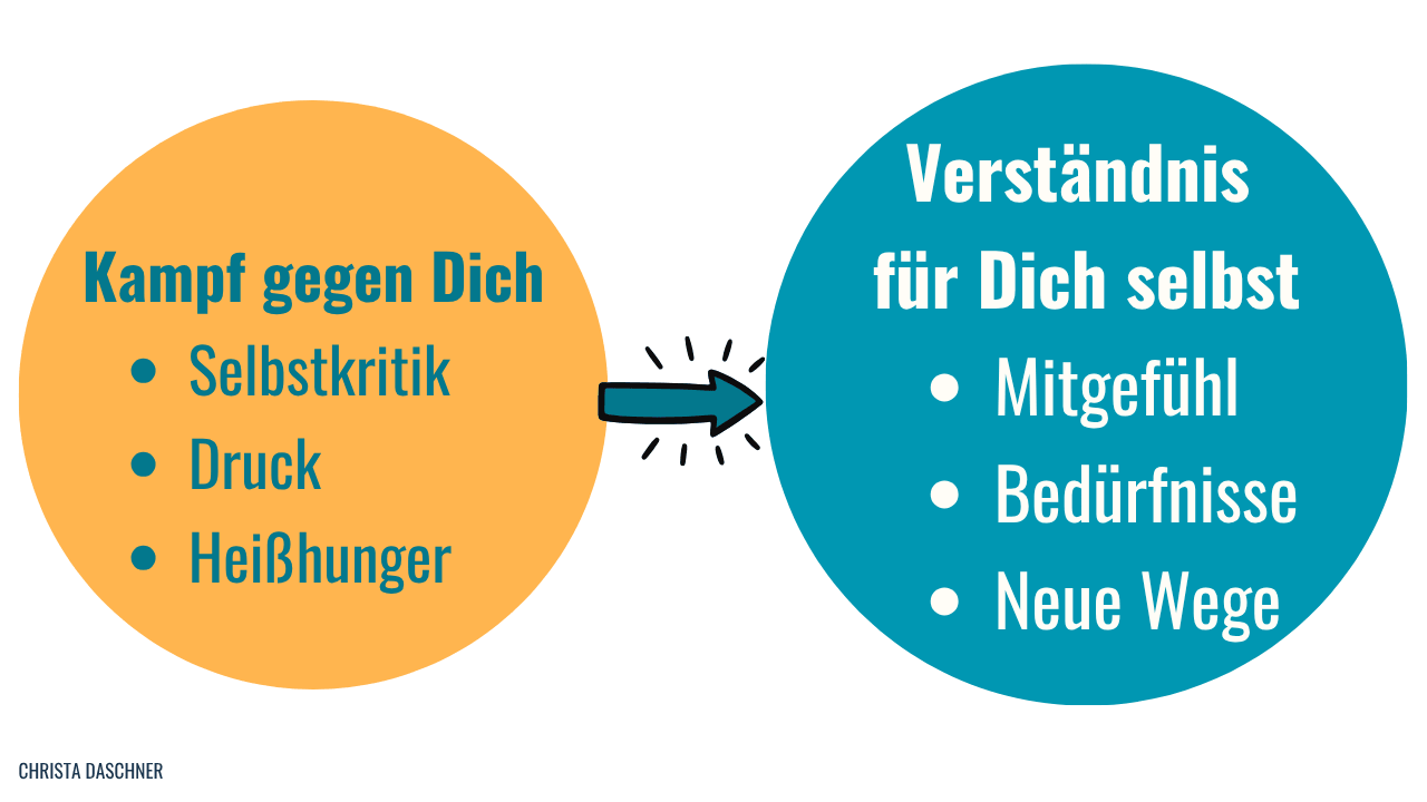 Vom Kampf gegen Dich selbst zum Verständnis für dich selbst
