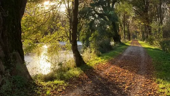 70-anderen-weg-gehen Weg am Fluss entlang, um Bedürfnisse zu erkennen statt essen ohne hunger